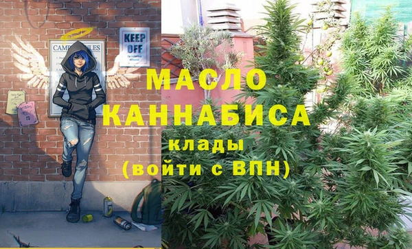 индика Михайловск
