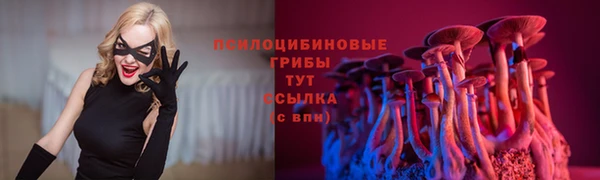 соль ск Алзамай
