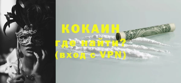 соль ск Алзамай