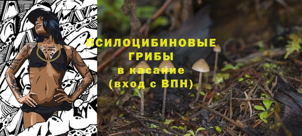 мяу мяу мука Алексеевка