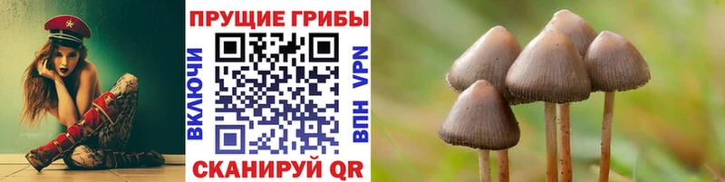ОМГ ОМГ сайт  Рыбное  Псилоцибиновые грибы прущие грибы  где купить наркоту 